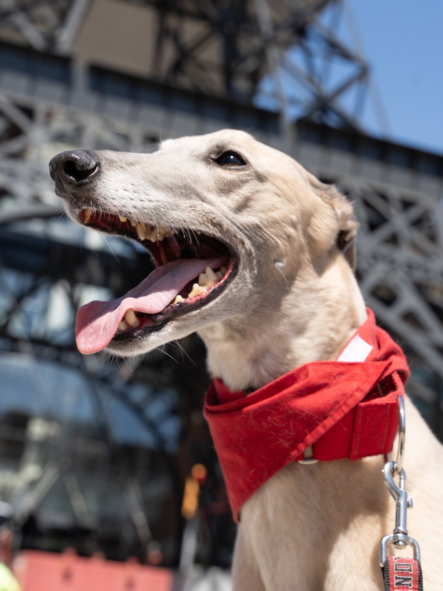 University of Indianapolis tweet media