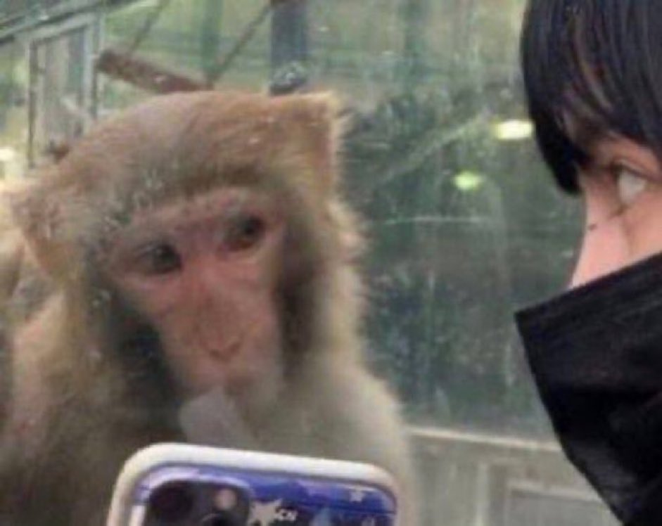 acervo Nimbus | 2001❾¾ tweet media