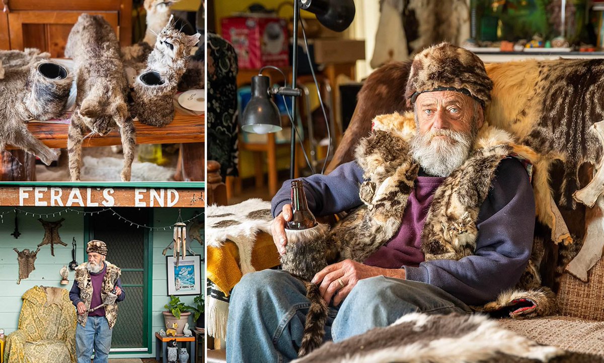 BAGHERI GATELEY tweet media