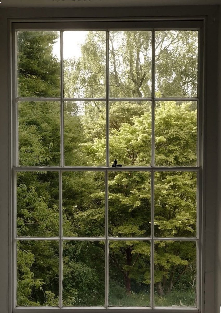 the night cafe ☕️ tweet media