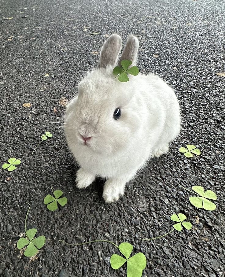 ♡Luna♡ tweet media