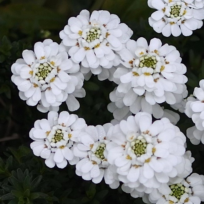 かっちゃん tweet media