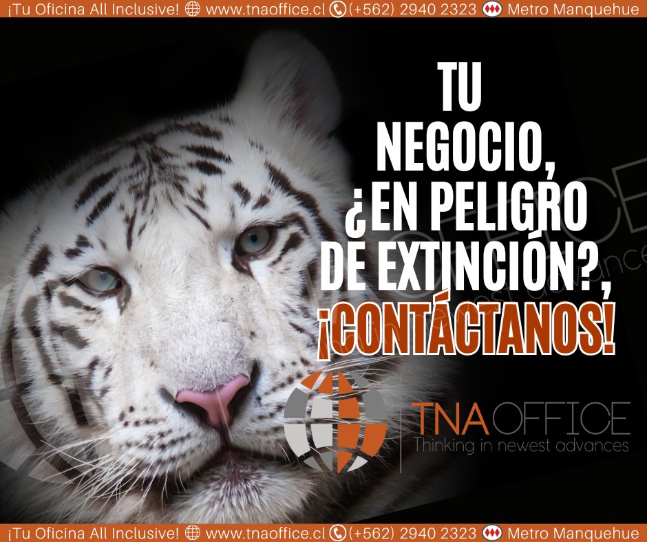 TNA_OFFICE's tweet image. 👉#emprendedores #empresario #empresaria tu #negocio está en peligro de #extinción? ¡Contáctanos, nosotros te #ayudamos!👇.

🌐 tnaoffice.cl más que #oficinas, #servicios para alcanzar el #exito ☎️+562 2940 2323 🎯Metro Manquehue 📧 marketing@tnaoffice.cl #LasCondes.