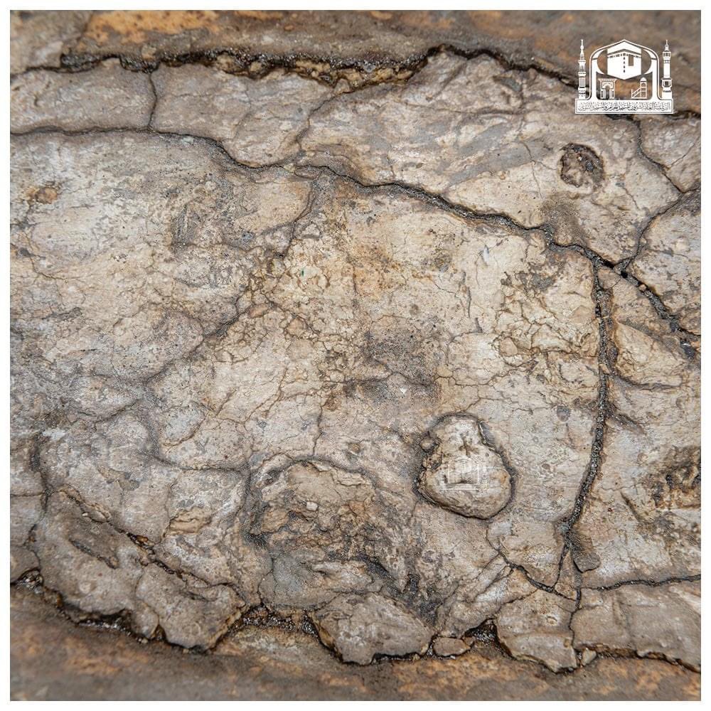 حَرَمَيْنُ الشَّرِيفَيْن tweet media