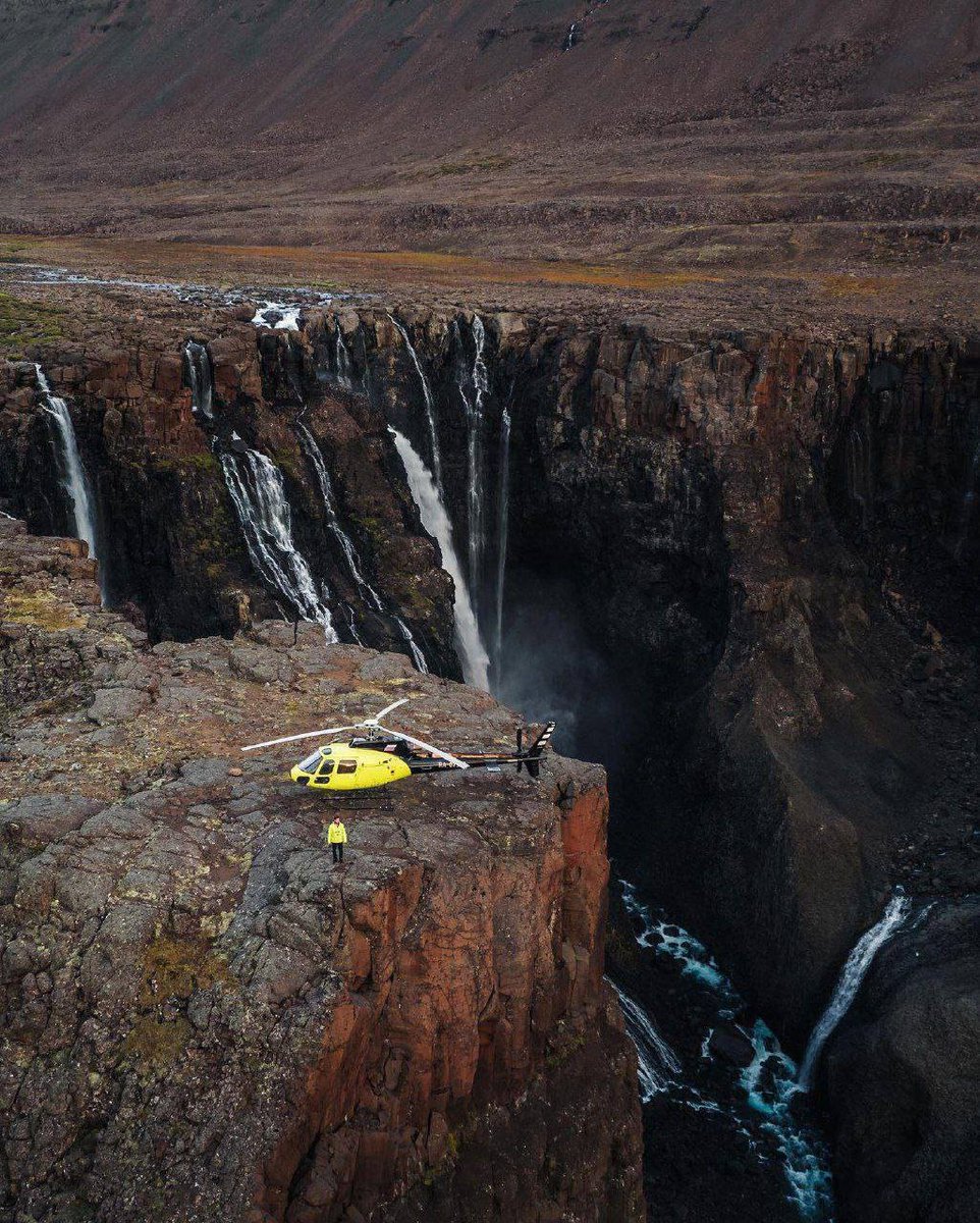 Black Hole tweet media