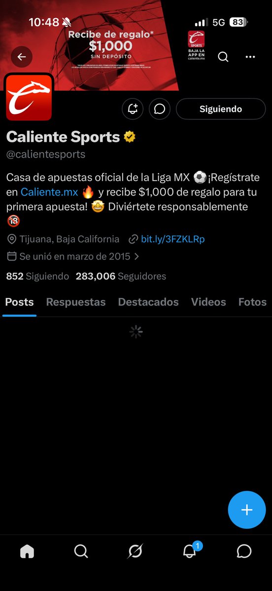 Brandon HA tweet media