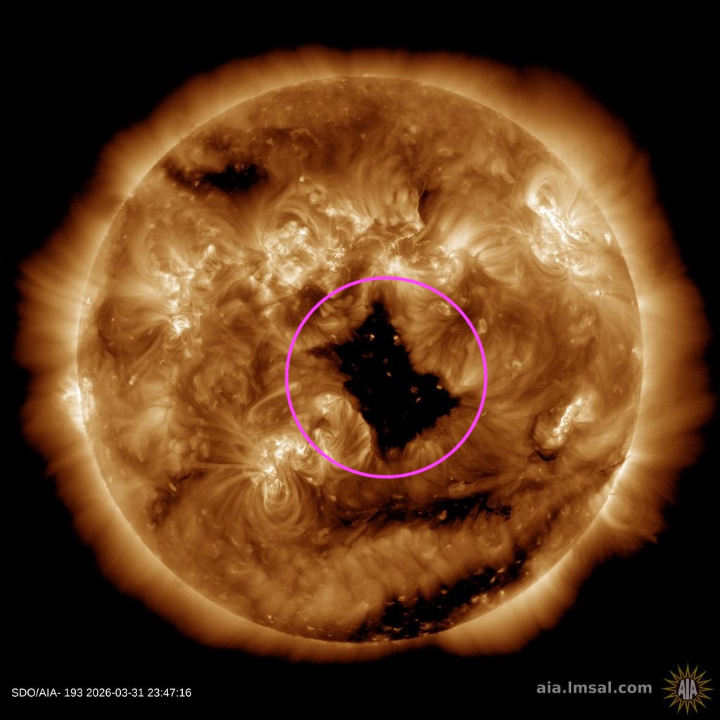 Vincent Ledvina tweet media