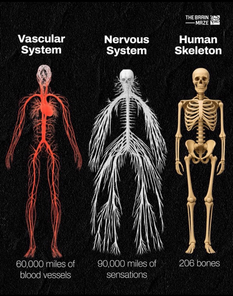 Badr Abu Ahmad 🇸🇦🇵🇸 tweet media