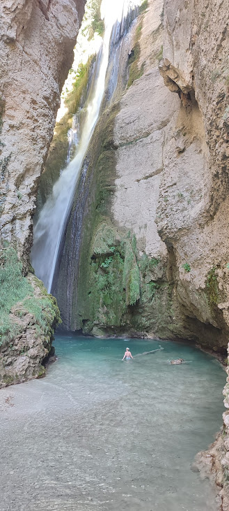 #1 #1gymfan fan tweet media