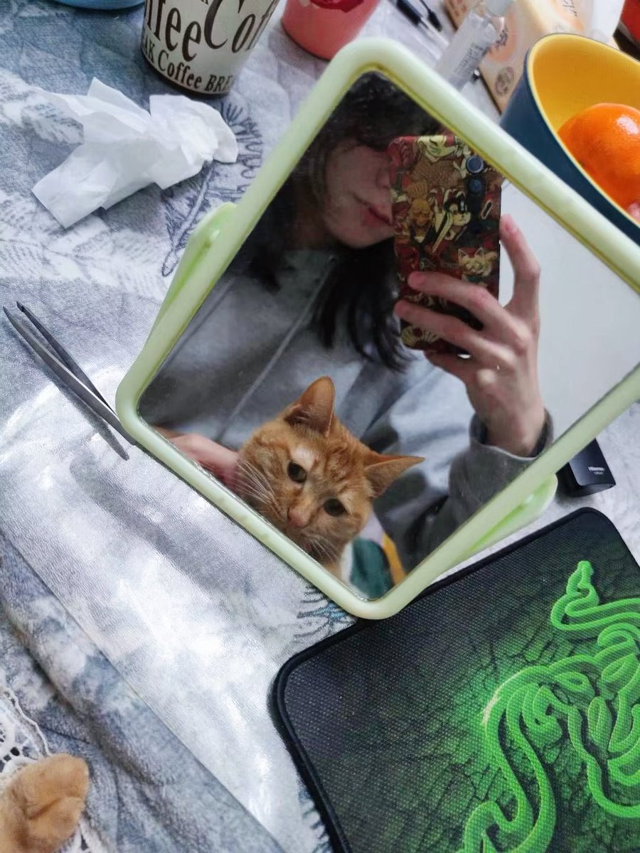 苡涩清茶 tweet media