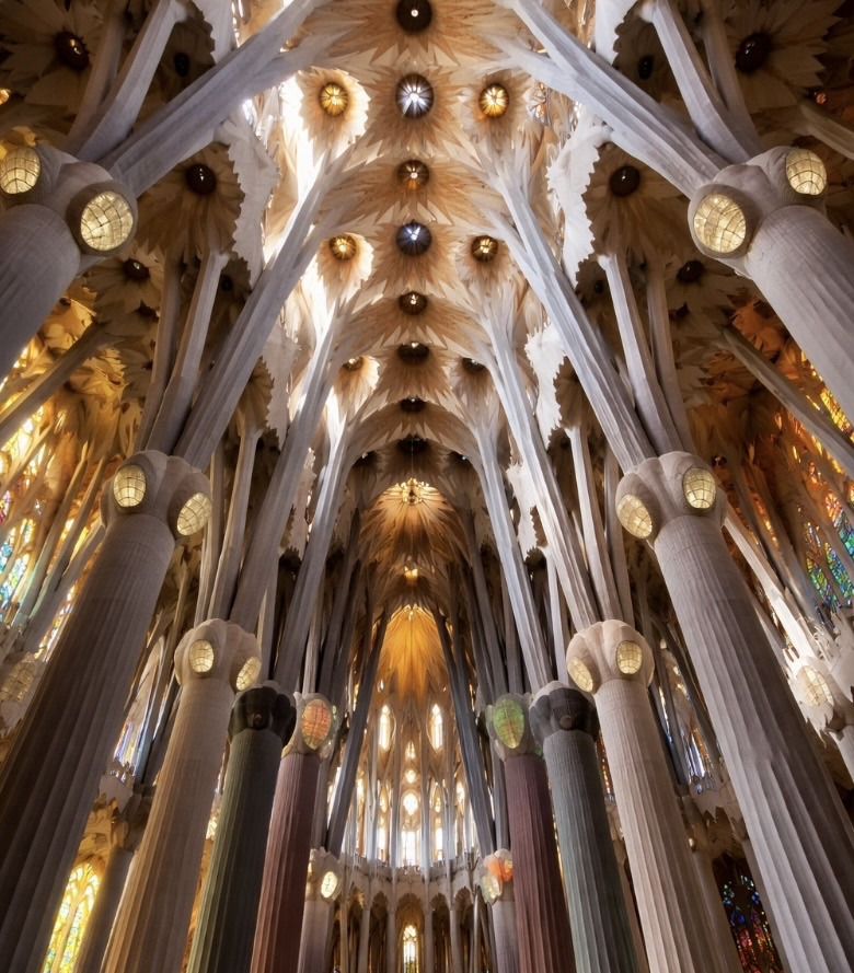 คเՇ๏г ร๏ɭคг tweet media