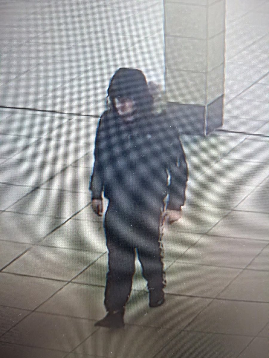 Yorkshire Rose tweet media