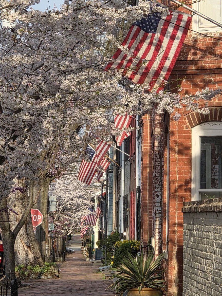 Rie Yano やのりえ tweet media