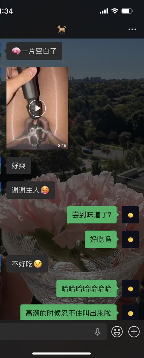 Victoria_忘生 tweet media