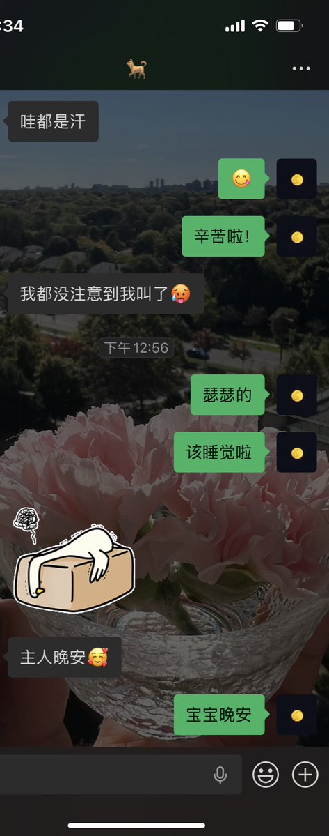 Victoria_忘生 tweet media