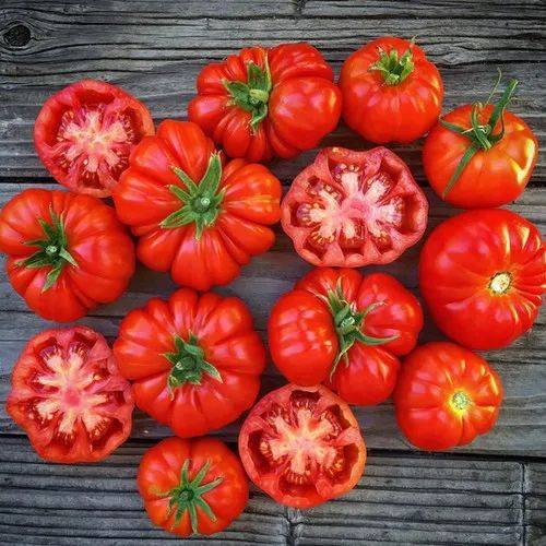 gocanvasDOTca's tweet photo. Tried this 100% organic heirloom tomato! Juicy, sweet-tart balance, zero chemical residue. Perfect for salads/sandwiches—worth every penny!  #OrganicProduce #TomatoTest https://t.co/sBEQB3T7Sq
