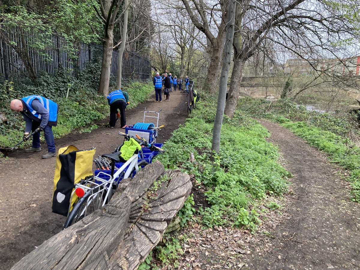 Blue loop tweet media