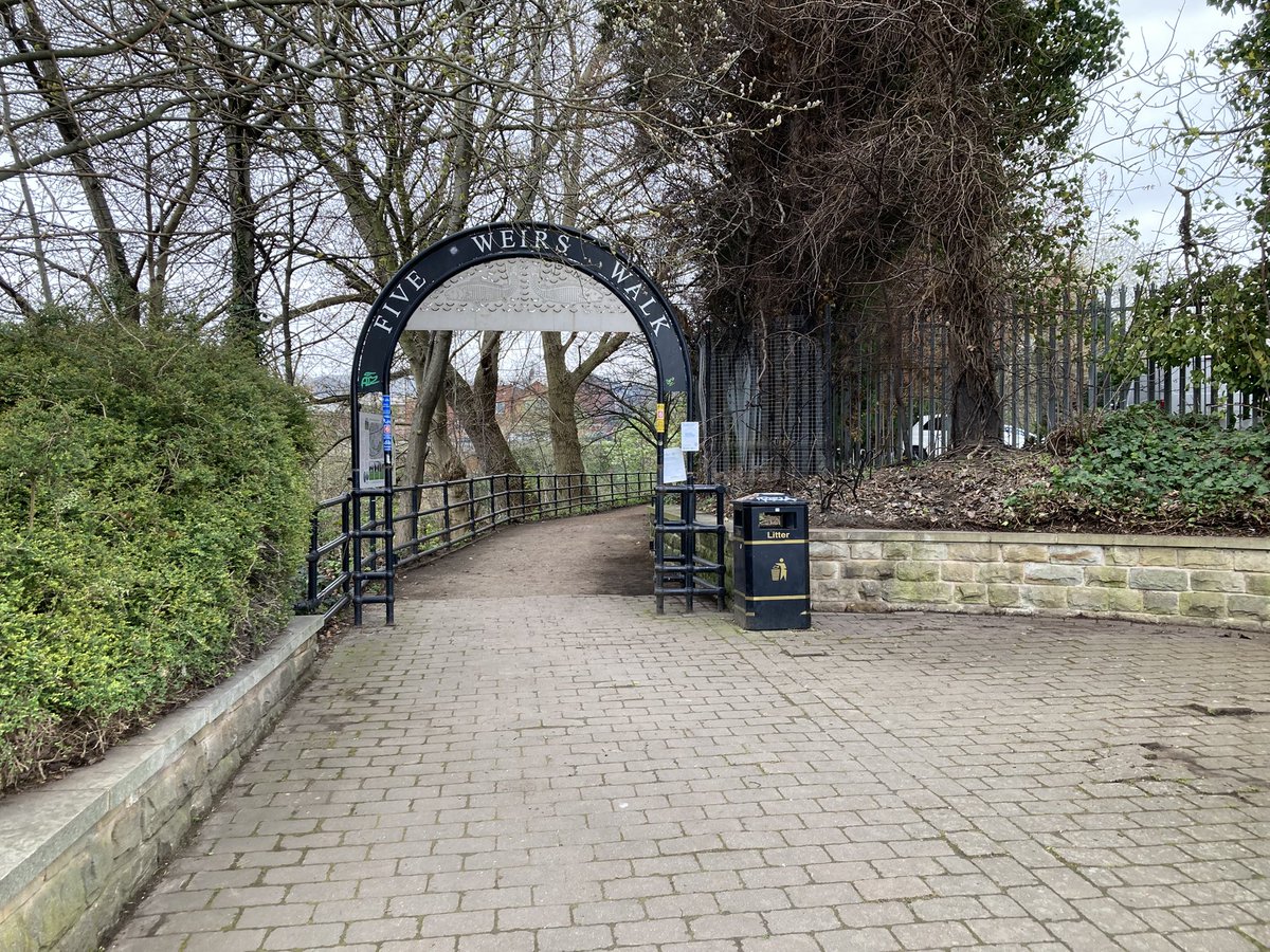 Blue loop tweet media