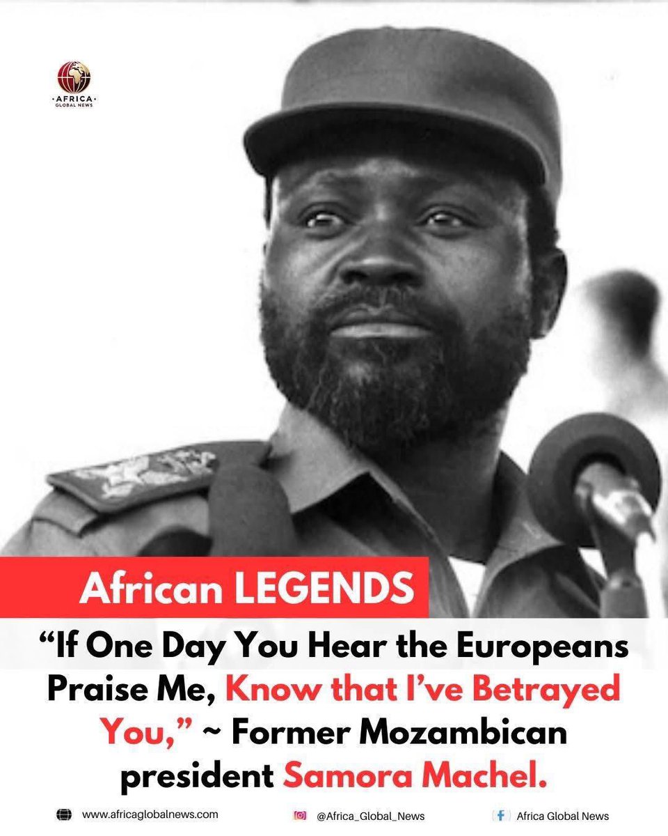 Africa Liberation Activist tweet media