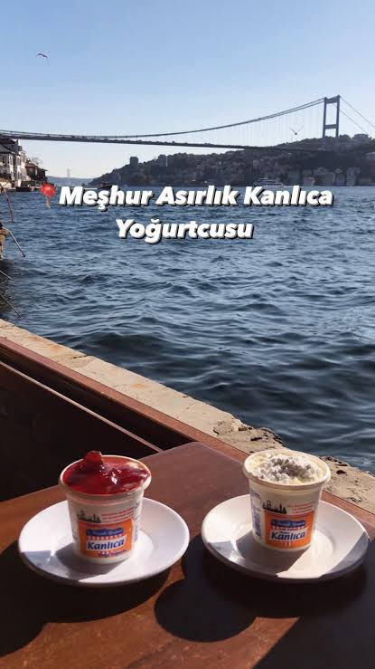 Ayse Kanburoglu tweet media