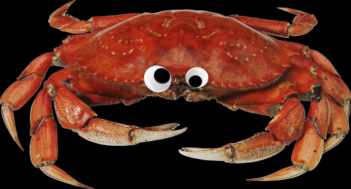 Shrimparoni | The Head Chef tweet media