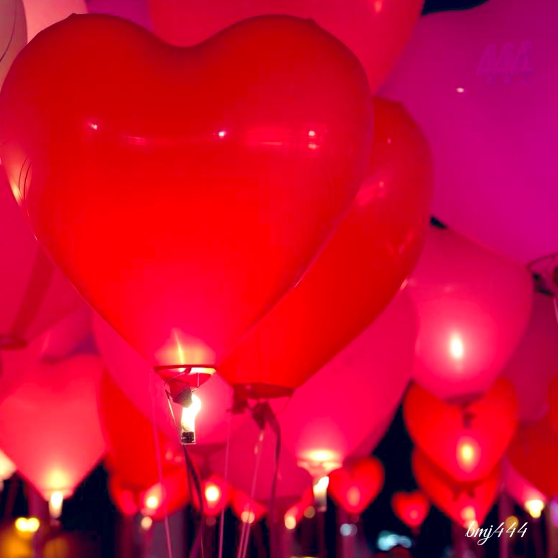 Brooklyn Morgan Johnson tweet media