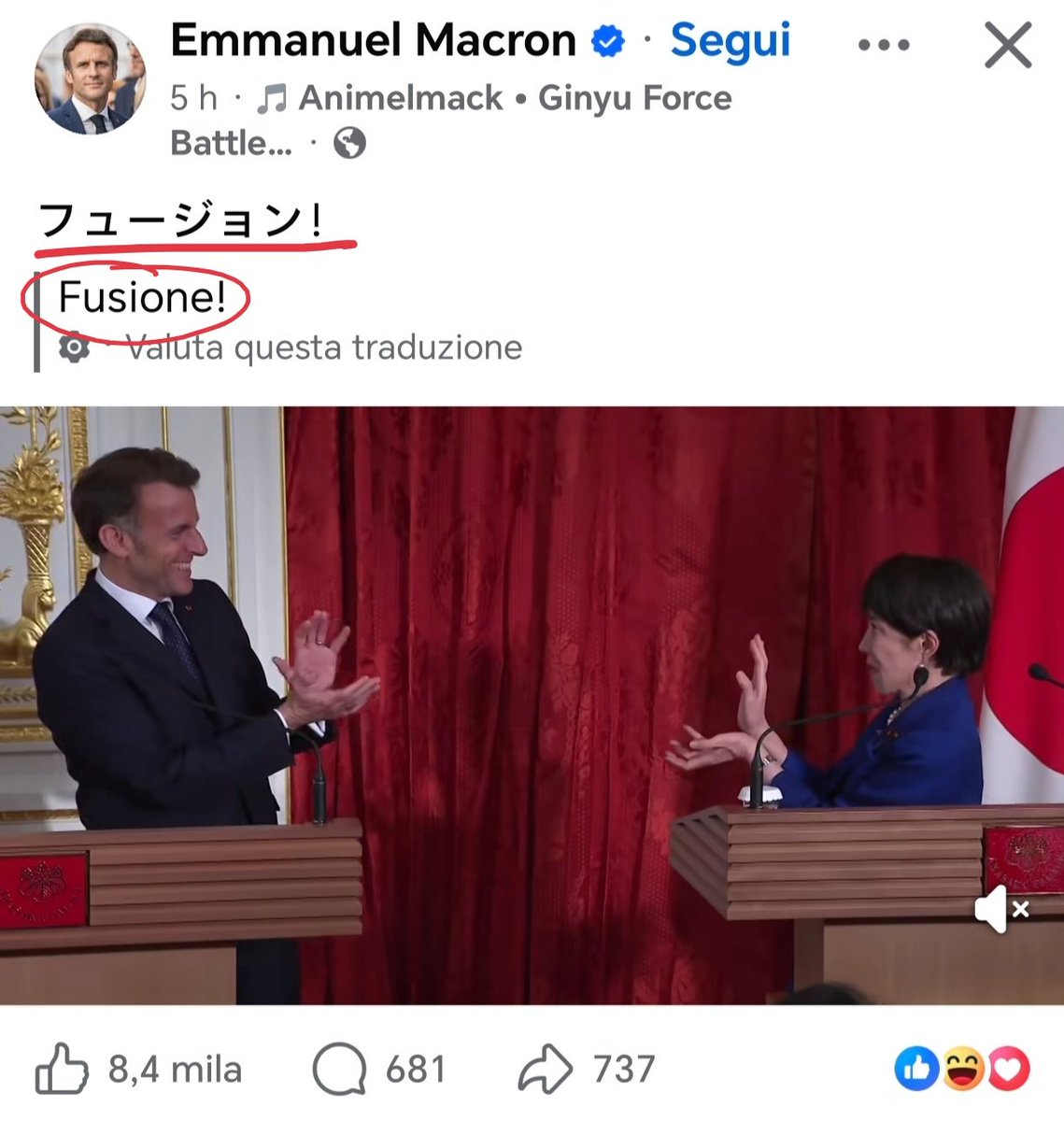 Luca Nigro tweet media