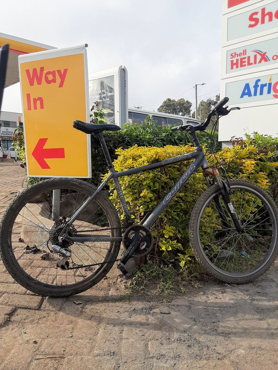 A l p h o n c e tweet media