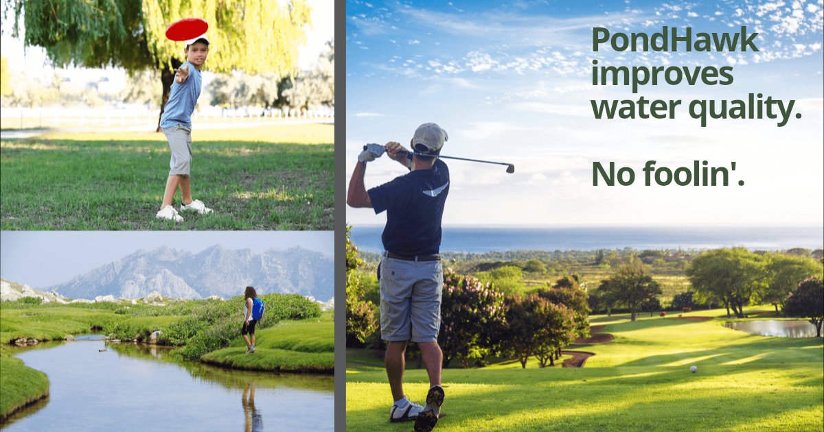 PondHawk by LINNE Industries tweet media