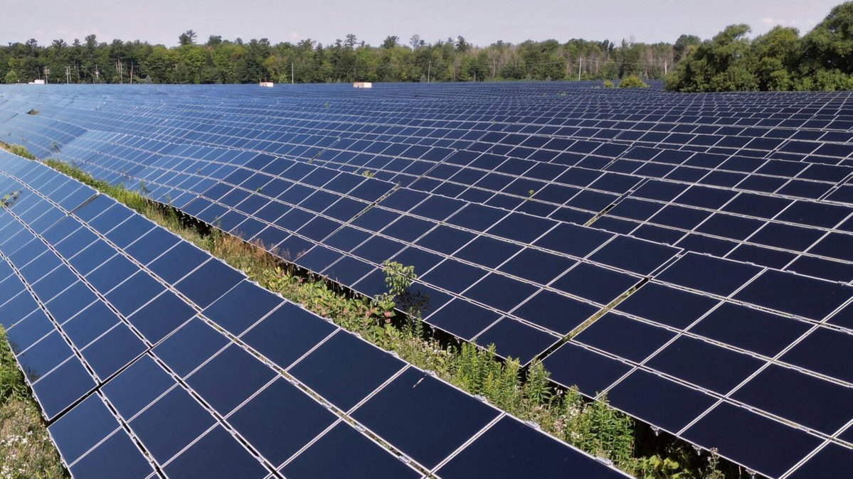 Boulevard Voltaire tweet media