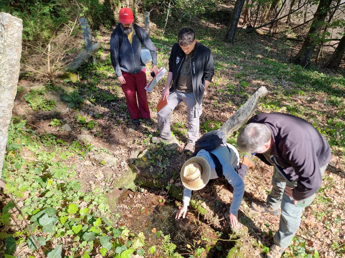 Ridimoas's tweet photo. Esta mañá recibimos a visita de @jpicos13, da Universidade de Vigo, con quen percorremos un tramo do bosque na parte alta de Ridimoas.💚 🔆🌳

#BosqueRidimoas
#Ribeiro 
#BosqueAutóctono https://t.co/tQihCyVsra