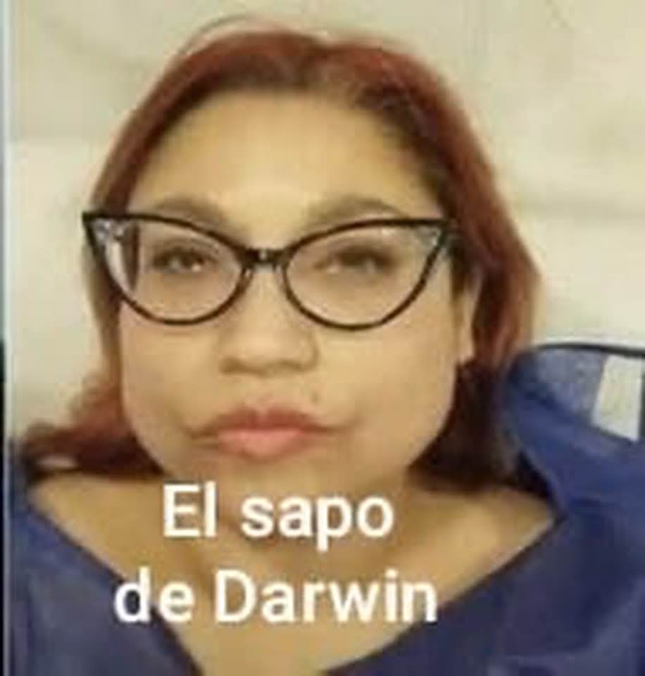 Amalia 🇨🇱🇨🇱 tweet media