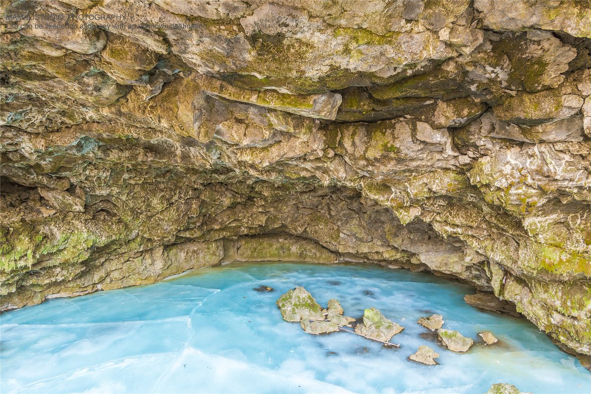 Waffle Squit tweet media