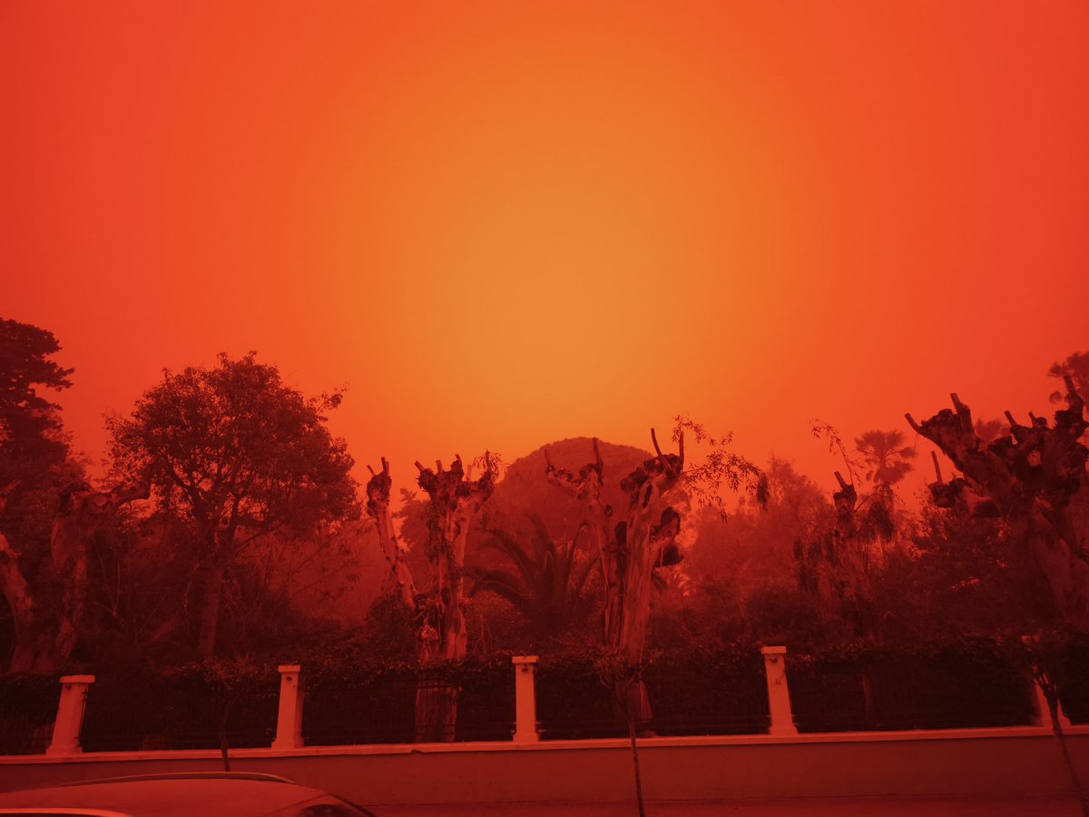 green_flame&shadow tweet media