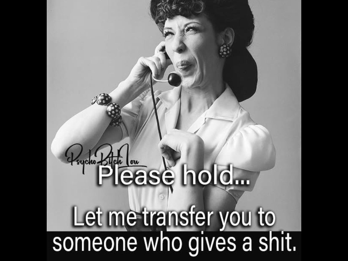 Meme Guy 🐕🏳️‍🌈 tweet media