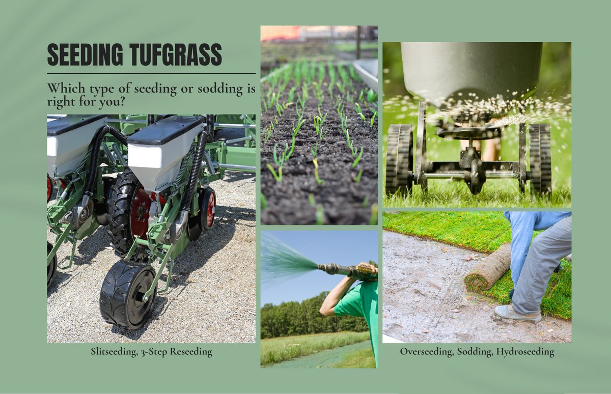 MyAllGreenTweet's tweet photo. Ready for a green lawn? 🌿 Our new guide covers everything from the professional 3-step reseeding process to the "instant" results of installing sod. Compare hydroseeding vs. power seeding for your Utah home! 🏠

Read more: https://t.co/JsK6WcfonJ #LawnCare https://t.co/djhUjoLaWL