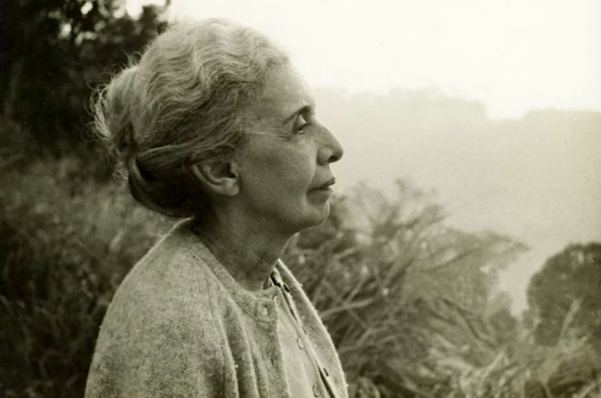 Senado Federal tweet media