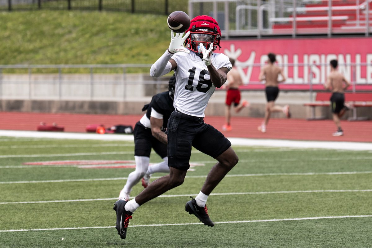 Mules Football tweet media