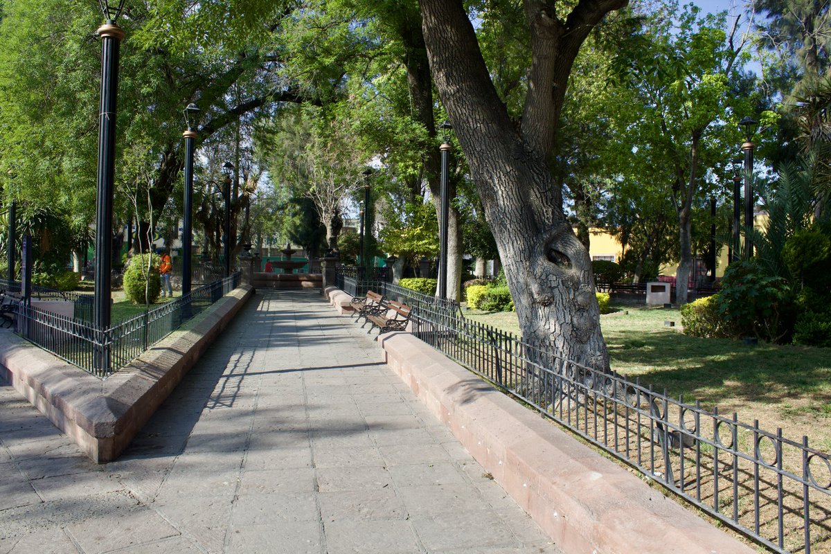 Servicios Municipales SLP tweet media