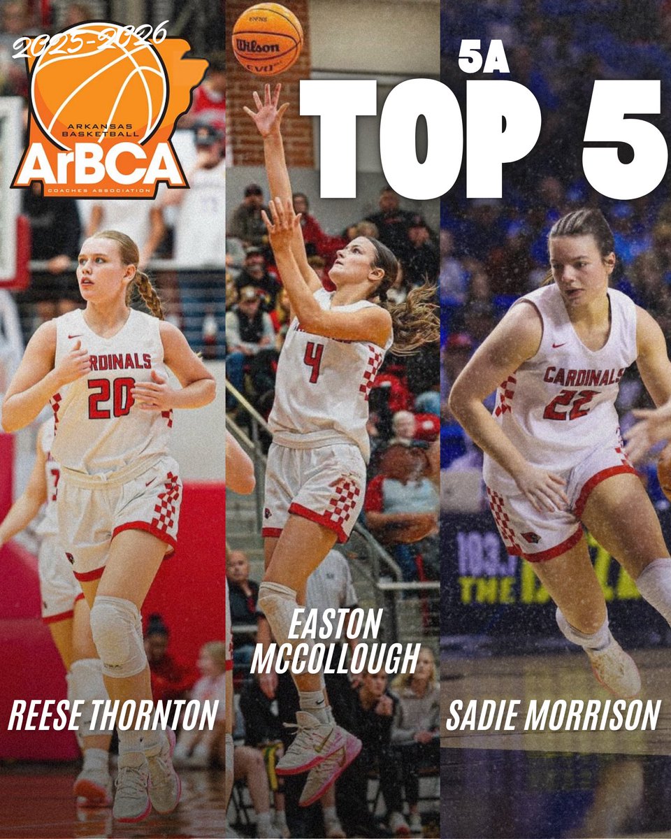 Lady Cardinal Basketball tweet media