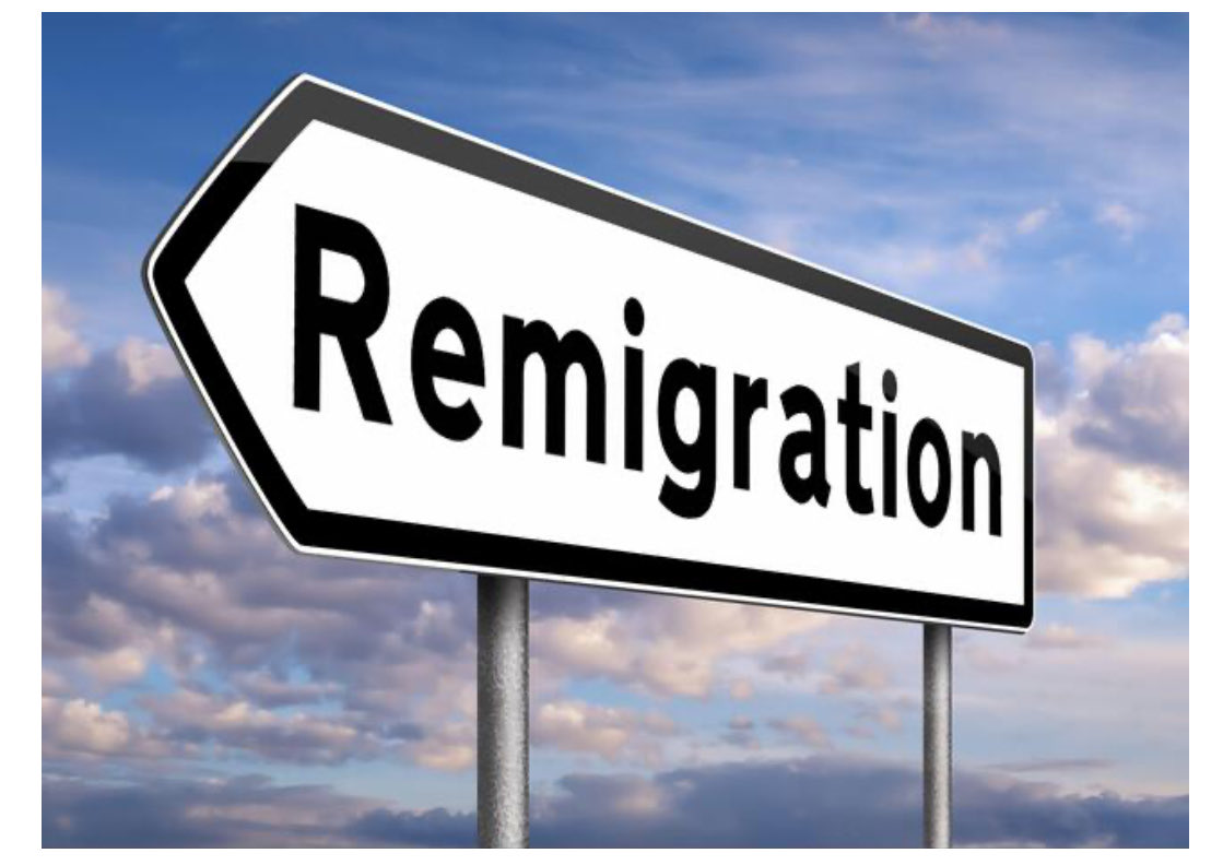 Schneereiter tweet media