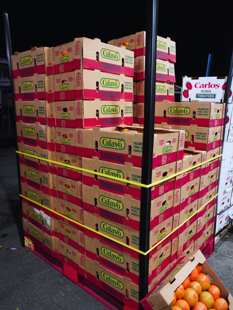 Round tomatoes looking strong at the market 🍅 Great color and uniform fruit that stand out on the display. At Kimball Produce Sales we focus on sourcing product that shows up the right way 🍅📦#Tomatoes #FreshProduce #ProduceIndustry #MarketFresh