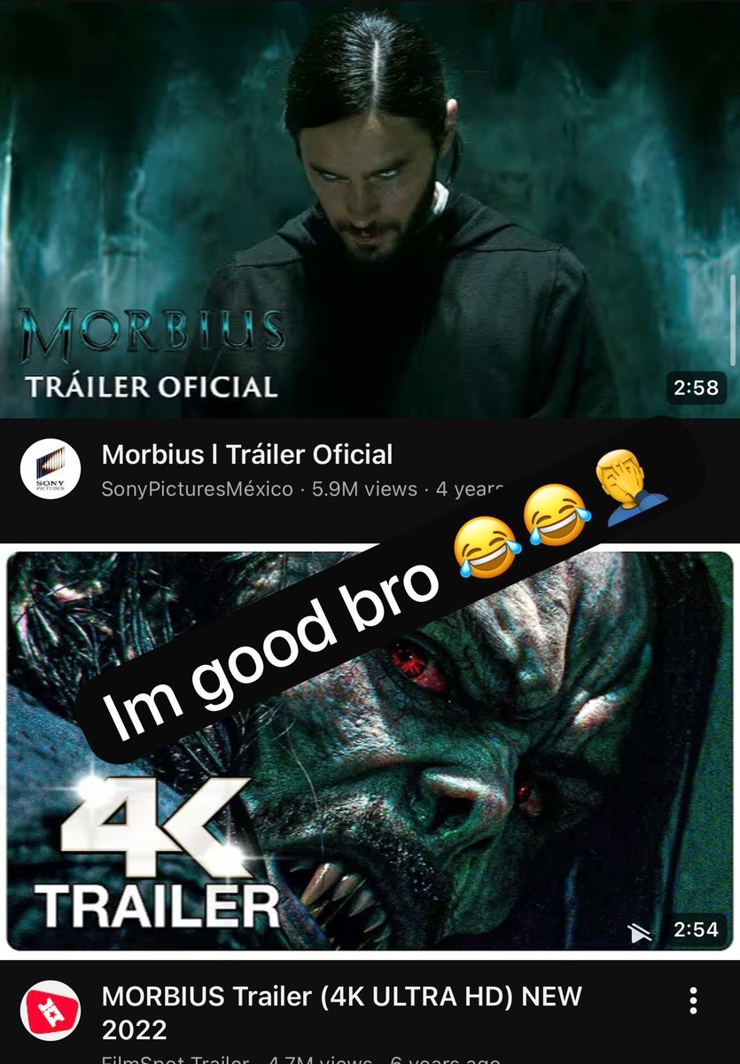 bean 😼 tweet media