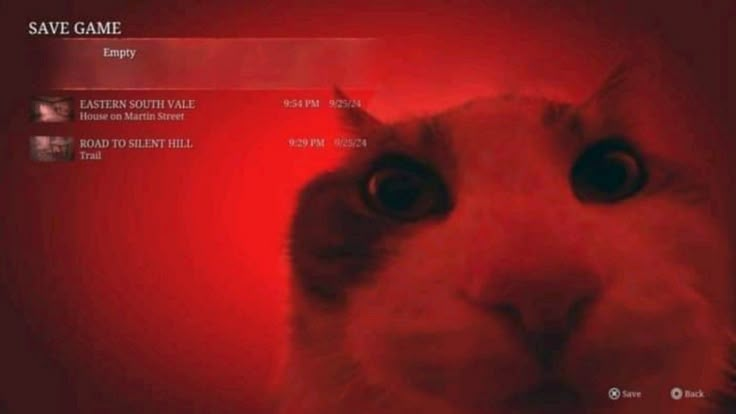 GalerONA tweet media