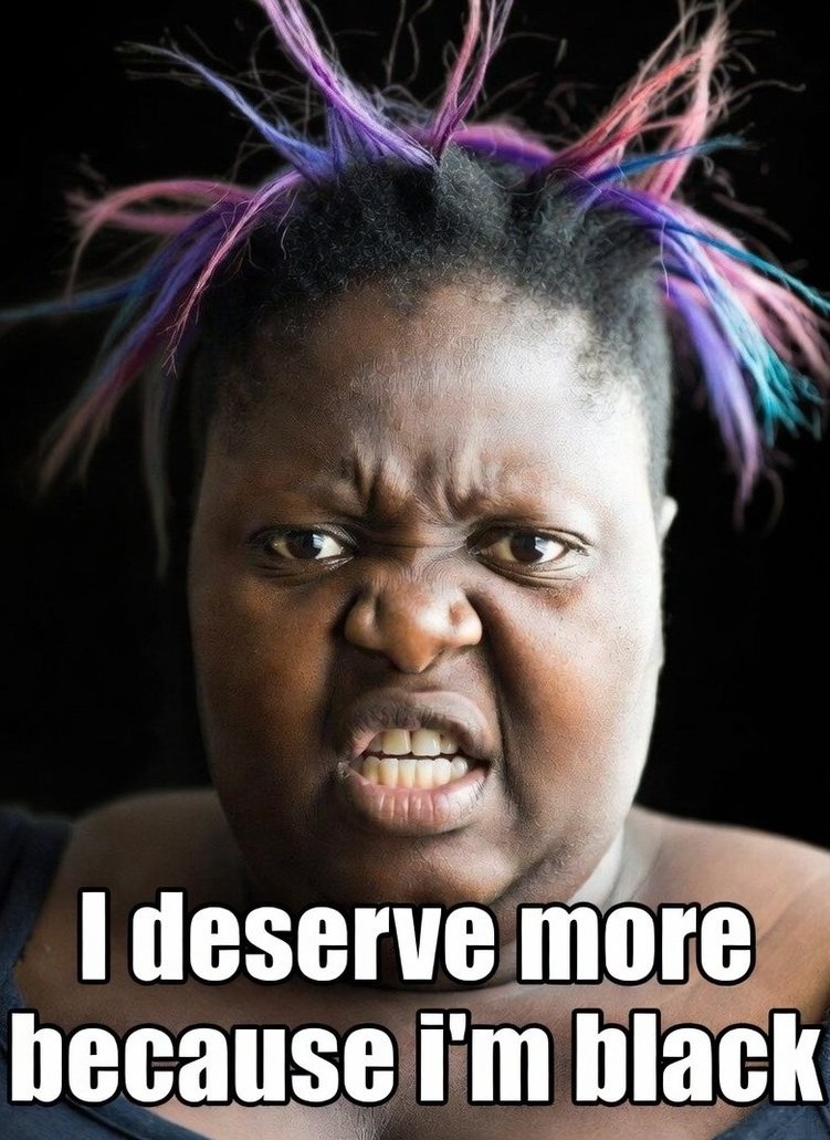 Dr. Paul lee tweet media