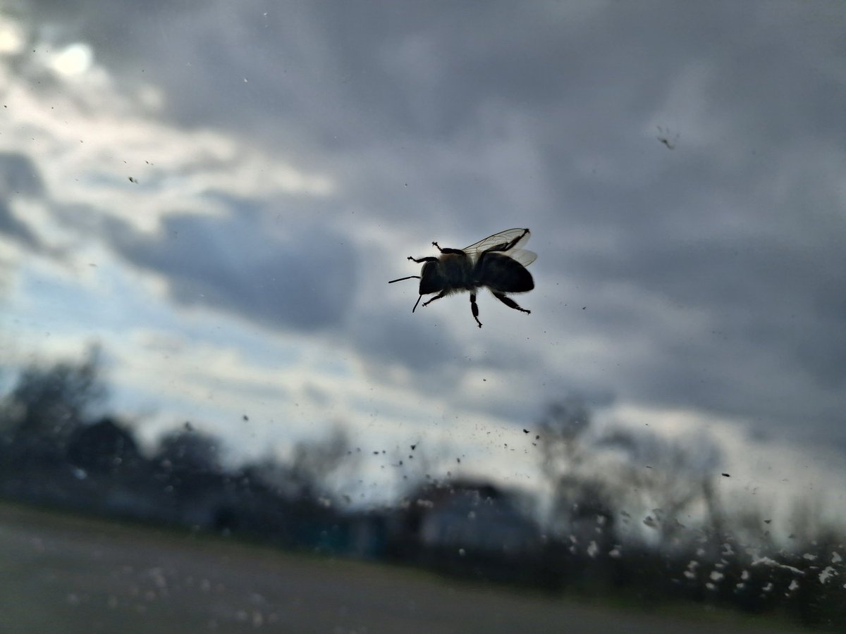 біг мій вічний tweet media