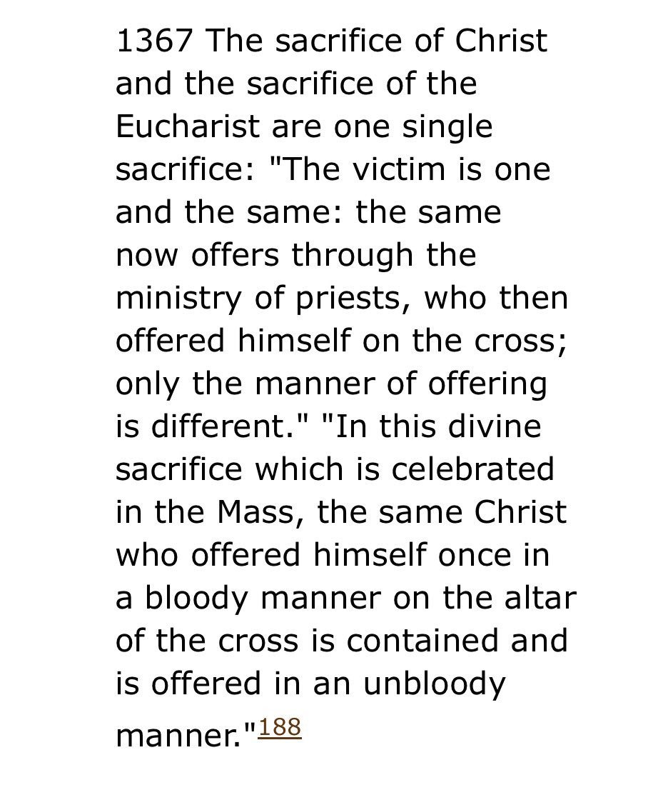 Mel🇺🇸🇻🇦 tweet media