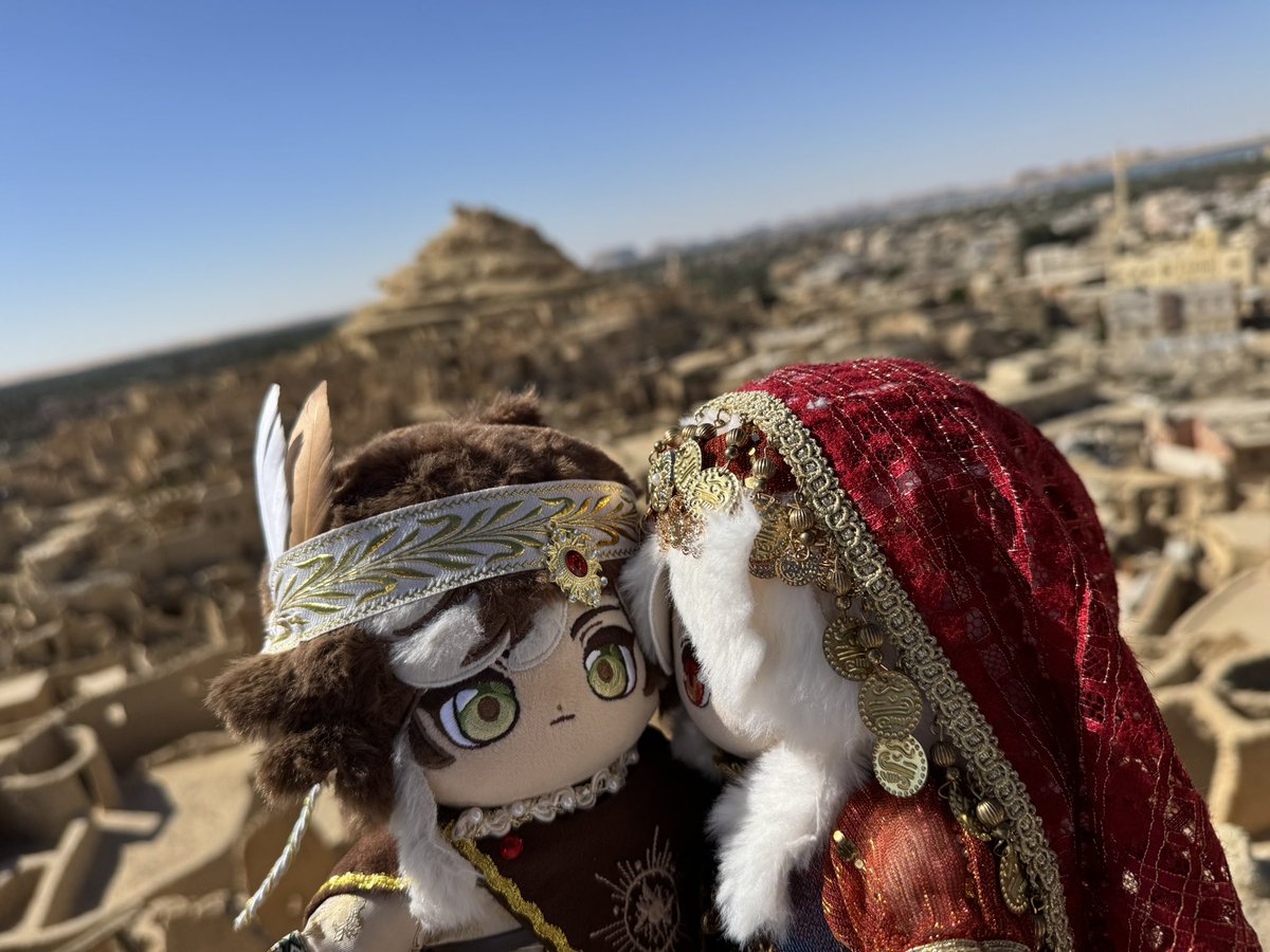 太阳猎犬 (@dghj01966145) on Twitter photo 