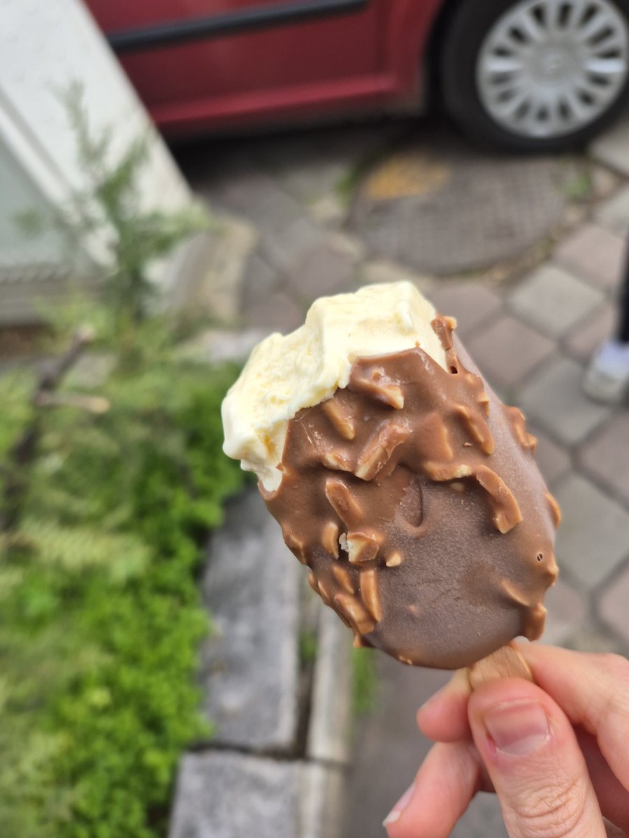 solita🌻 tweet media