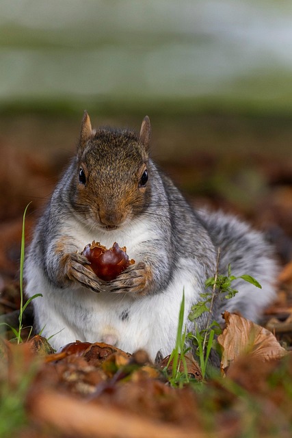 Leon Peterson tweet media